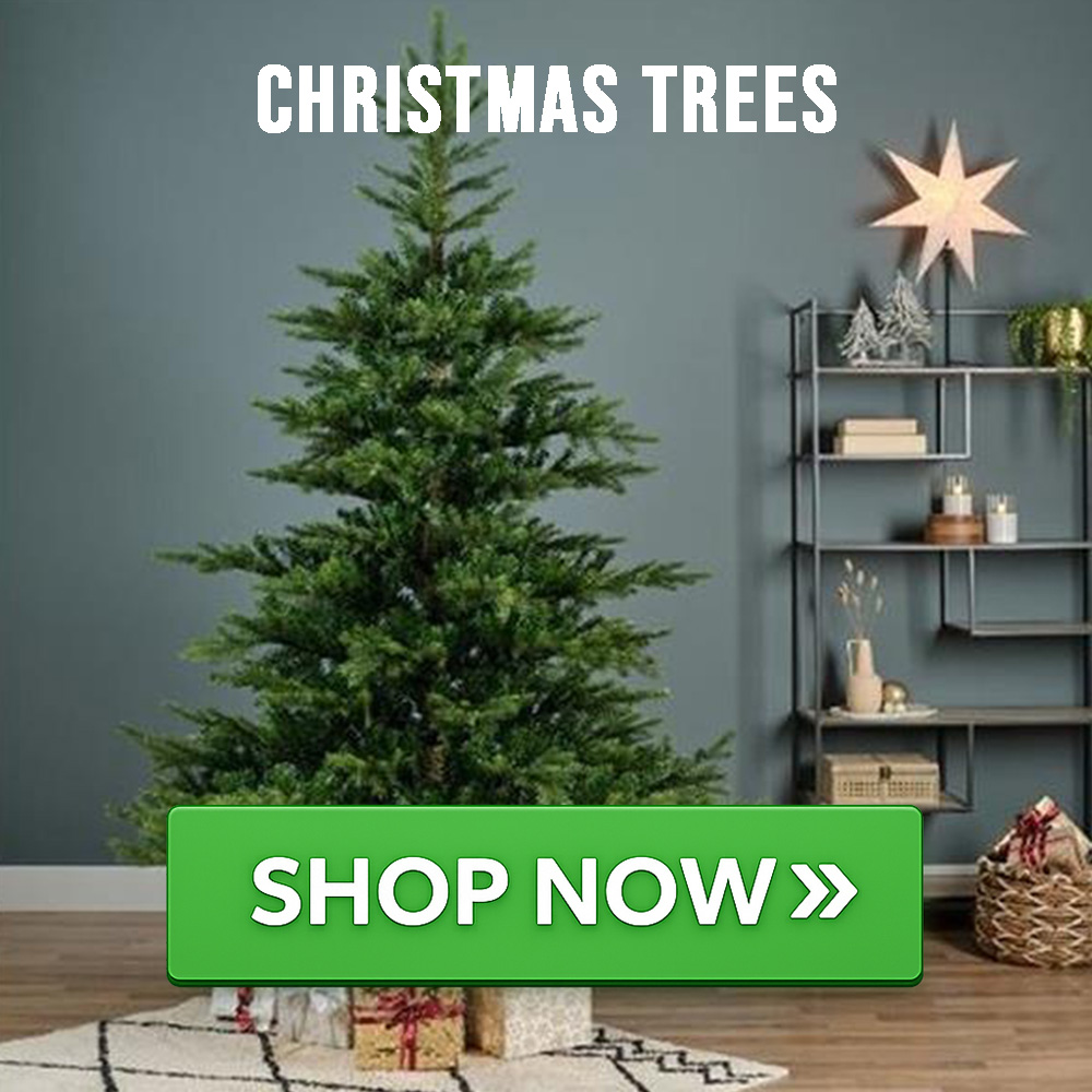 christmas trees